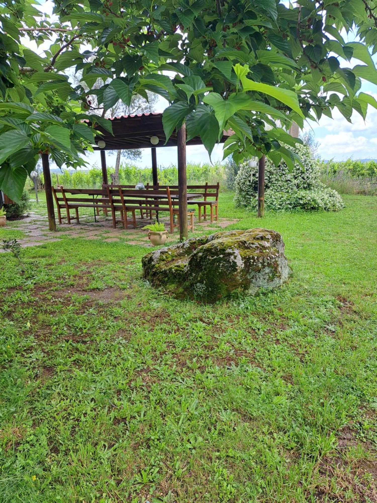 Agriturismo Tenuta Roccaccia Pitigliano Eksteriør billede