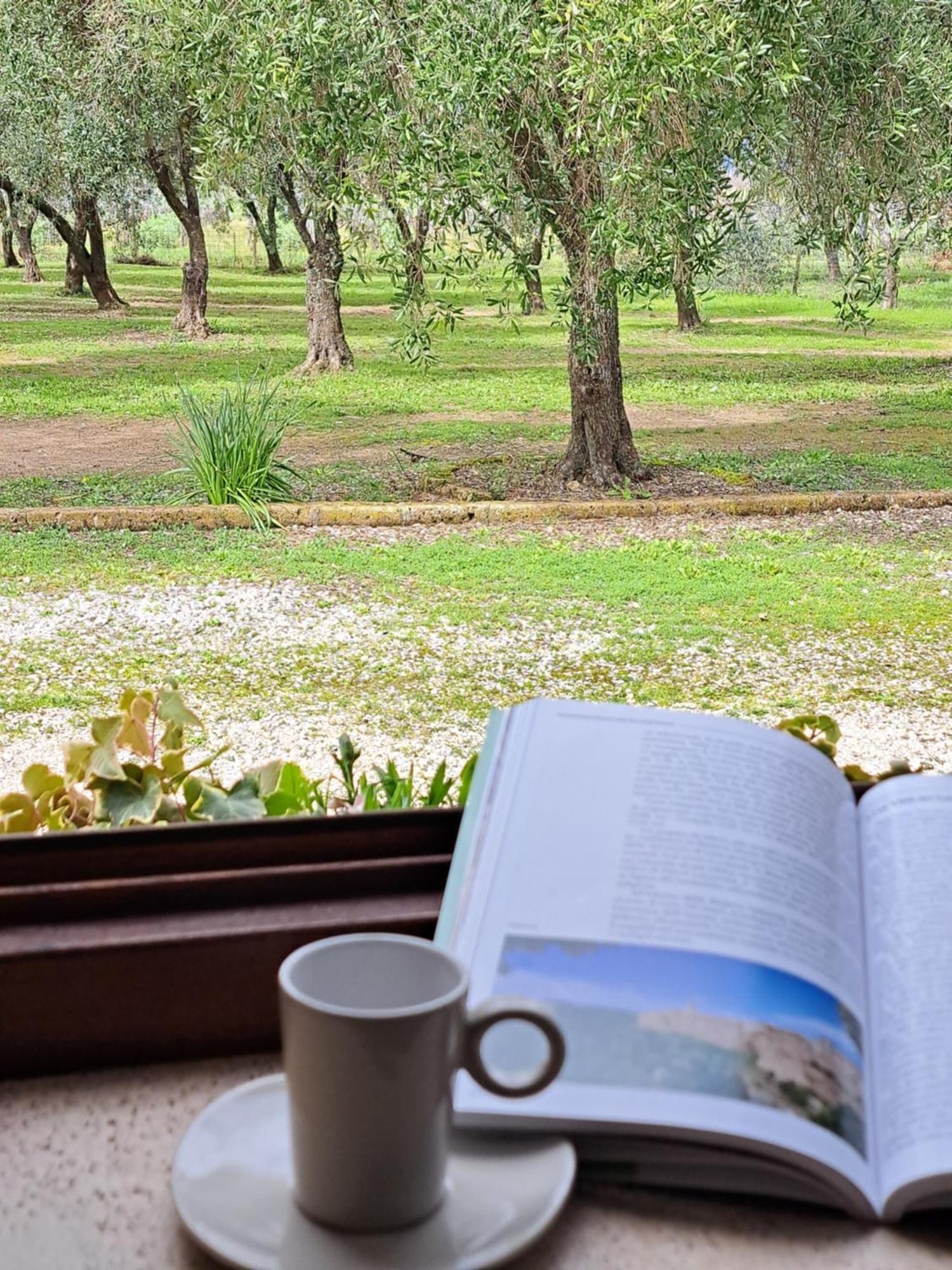 Agriturismo Tenuta Roccaccia Pitigliano Eksteriør billede